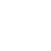 Elections icon